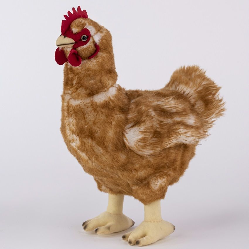URFEDA Coq En Peluche Poule En Peluche Poussin En Peluche Poulet En Peluche Poule En Peluche Poulet En Peluche Coq En Peluche Am URFEDA Coq En Peluche Poule En Peluche Poussin En Peluche Poulet En Peluche Poule En Peluche Poulet En Peluche Coq En Peluche Am