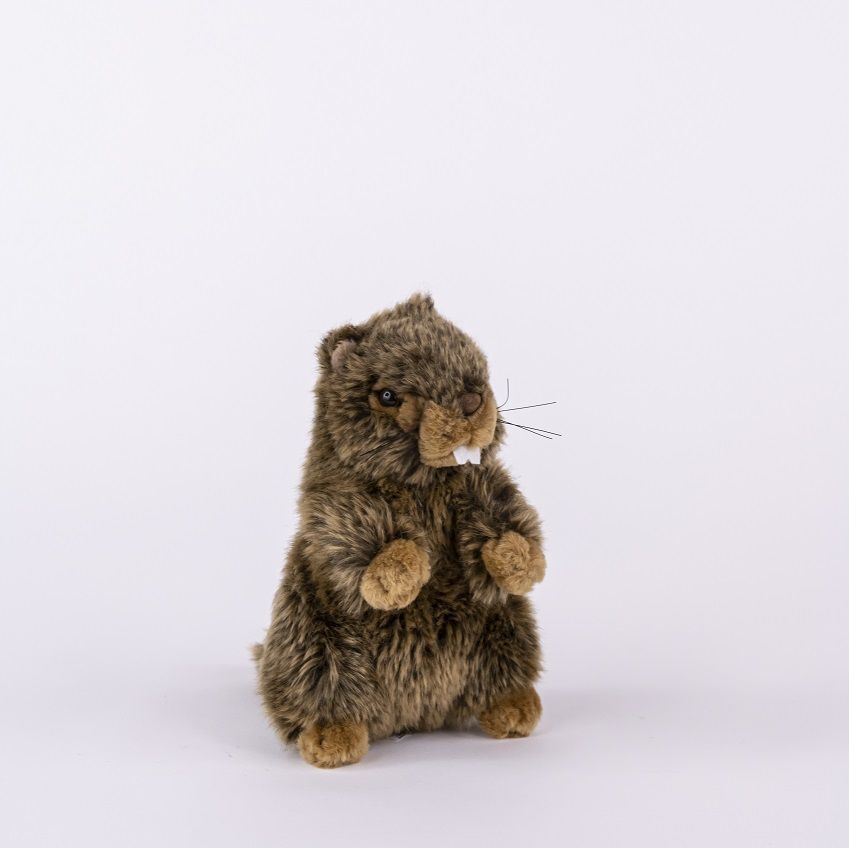 Peluche Marmotte 18 cm