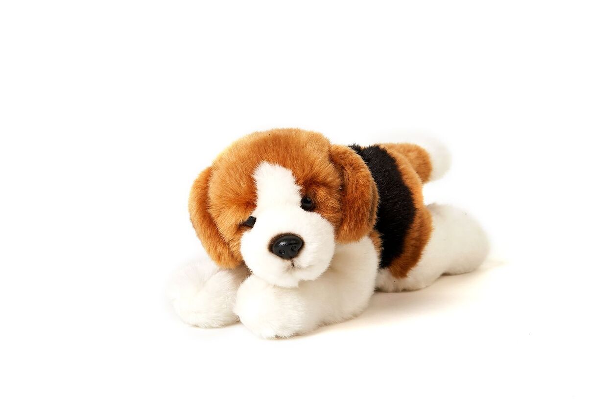 Peluche Beagle 20 cm