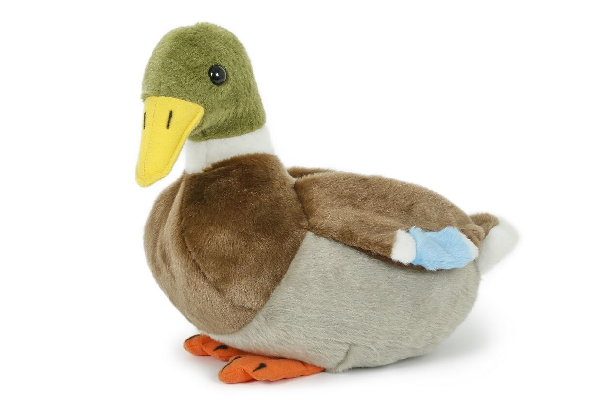 Peluche Canard Colvert 25 cm