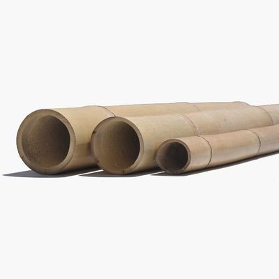 Tronçon de bambou sec clair, ⌀ 3 - 4 cm, Longueur 3 m