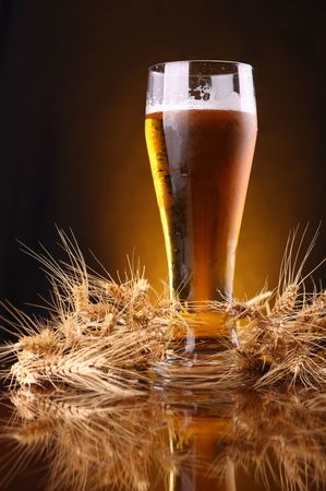 Vraies Fausses idées sur la bière