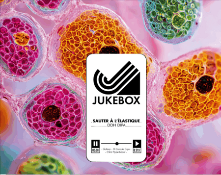 Sauter à l'élastique Jukebox 44 cl canette