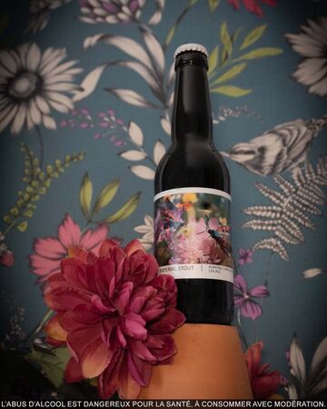 Impérial Stout Popihn x Débauche La Débauche 33 cl