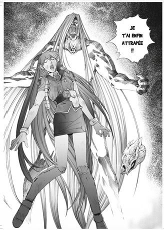 SILENT MOBIUS TOME 12 FIN COLLECTOR (nouvelle édition papier 120gr) LIVRAISON FIN AOUT
