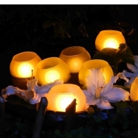 Un bassin lumineux dans le jardin