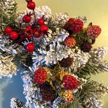 1 grande branche mûres sauvages