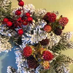 1 grande branche mûres sauvages