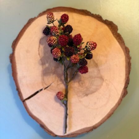 1 grande branche mûres sauvages