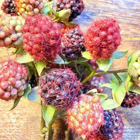 1 branche mûres sauvages - 20cm