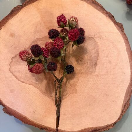 1 branche mûres sauvages - 20cm