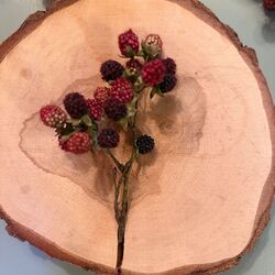 1 branche mûres sauvages - 20cm