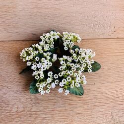 Wreath for candles - white Gypsophila ø 3 cm