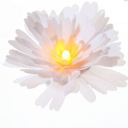 3 luminous LED flowers - white peonies