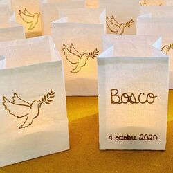 led paper lantern - Dove