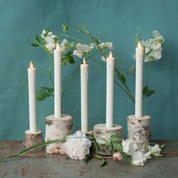 Birch tree holder - H 10cm