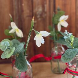 5 perce-neige - H 19,5cm