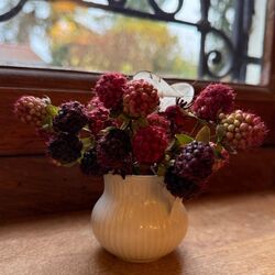 1 petite branche mûres sauvages