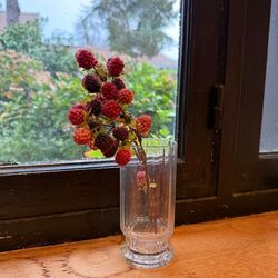 1 grande branche mûres sauvages