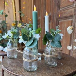 6 bottles vase