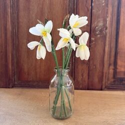 5 perce-neige - H 19,5cm