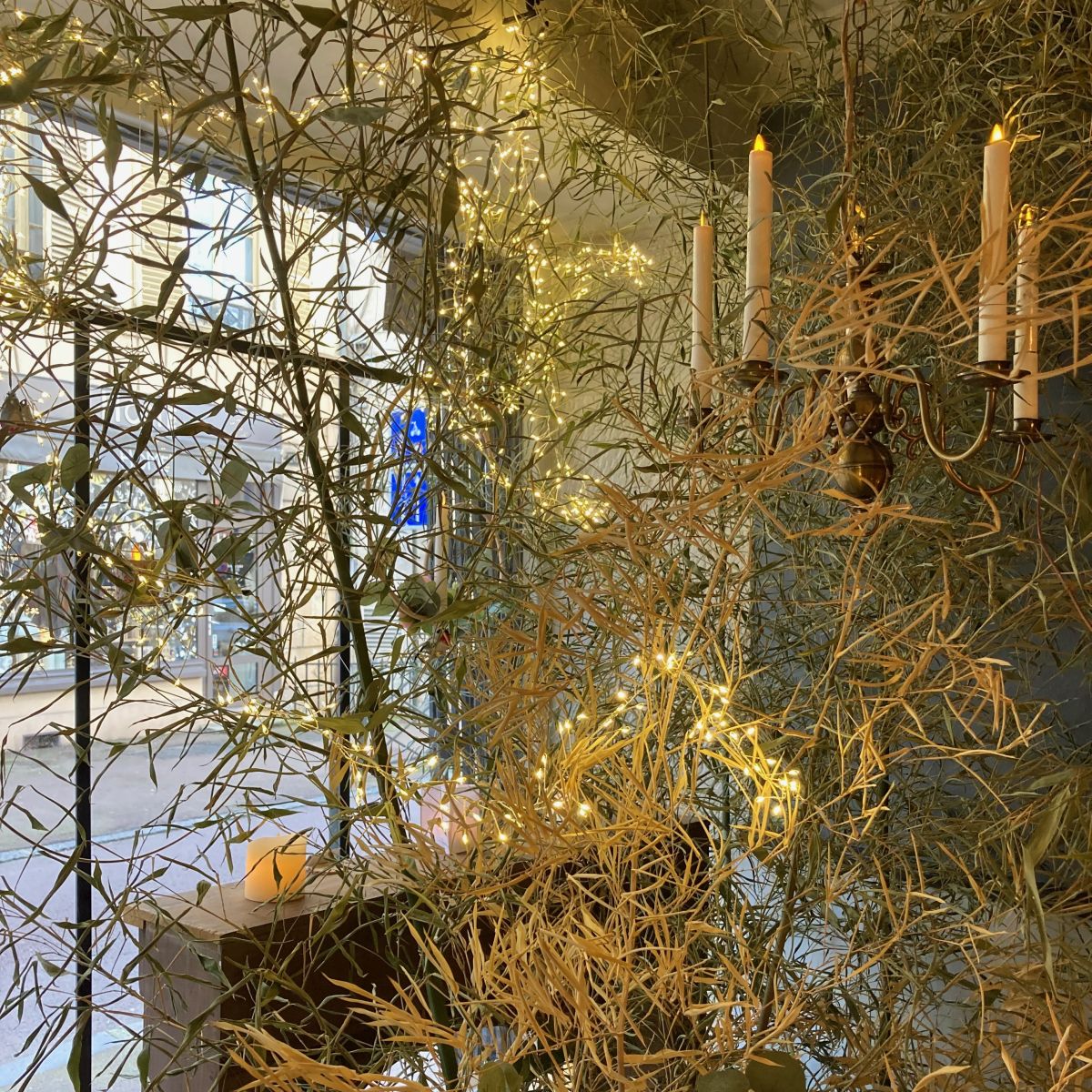 déco de vitrine, bambou et guirlande Led