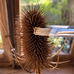 fabriquer un photophore led tout seul