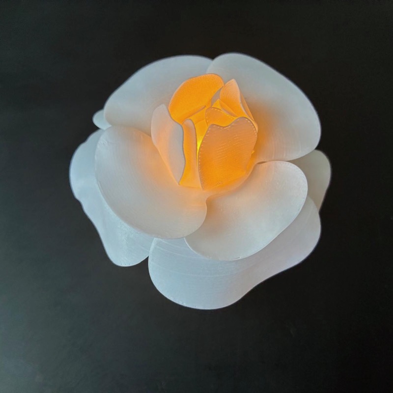 fleur blanche éclairée d'une bougie Led