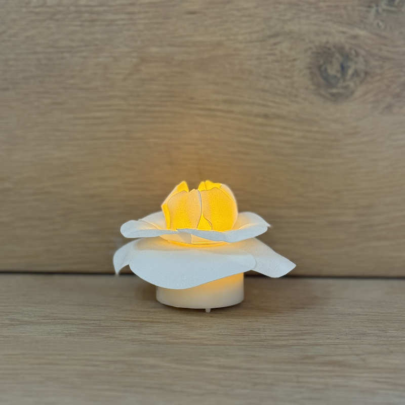 fleur lumineuse