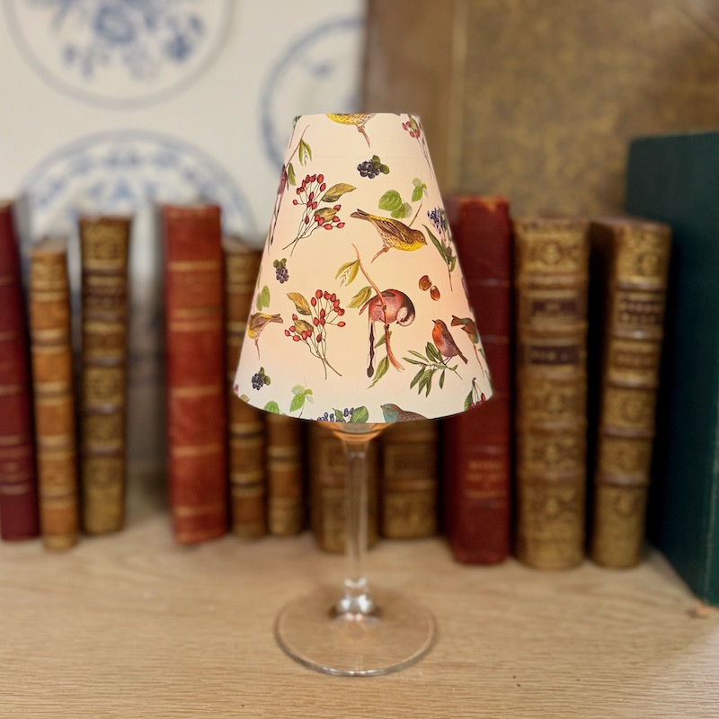 lampe led pour éclairer une étagère, motif oiseaux