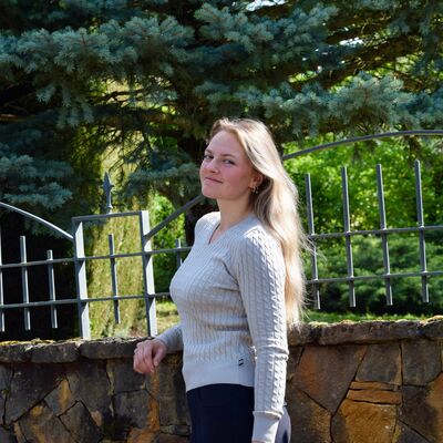 Pullover col V BEIGE