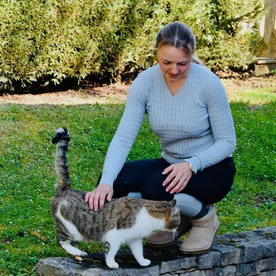 Pullover col V gris-clair