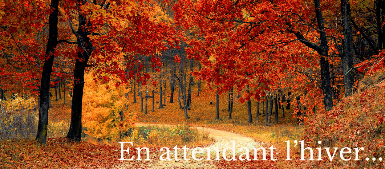 Carole Marc Mode pour femme pulls cachemire merinos viscose. Cotes d Armor