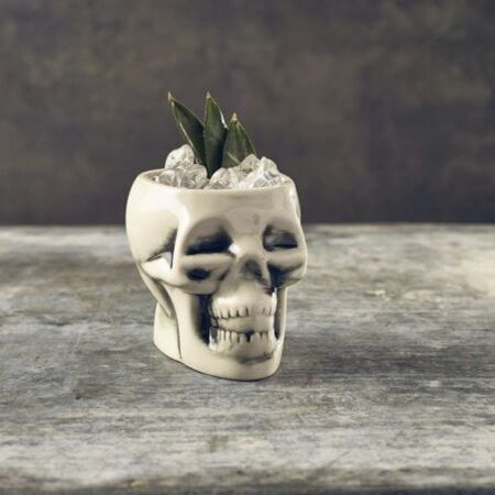 Tiki Mug Skull Blanc 40cl
