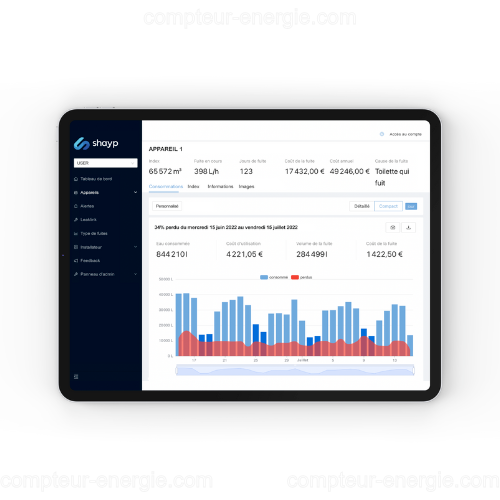 Suivi des consommations d'énergie et fuite d'eau à distance