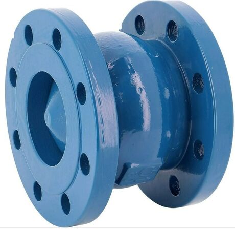 Clapet Fonte - à brides PN16 - ACS