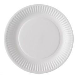 Assiette blanche en carton 23 cm x 100