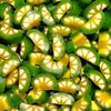VIDAL Tranche de CITRON LIME en sac de 250 unités