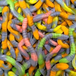 DULCEPLUS Serpents bicolores en sac de 1 kg