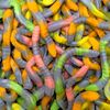 DULCEPLUS Serpents bicolores en sac de 1 kg