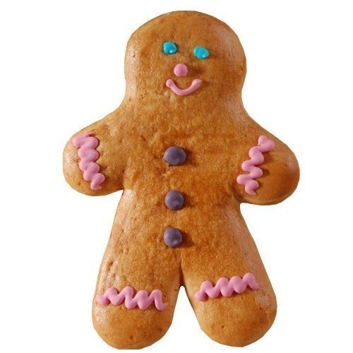 Fortwenger Carton de 20 LE MANNELE en pain d'épices 80g / 25 cm