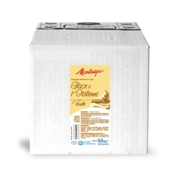 Mix à glace Montaigu VANILLE 5 litres pour glace soft à l'italienne