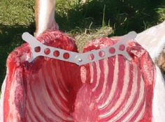 OEGP11 Outdoor Edge Game Processor Cutting Set