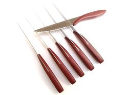 Steak set 6 pieces Déglon Stable Bordeaux