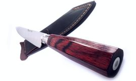 Gaucho knife Nieto stamina handle