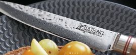 Couteau Santoku Wusaki Pakka 8016