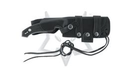 Fox Dagger Octopus Vulgaris