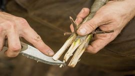 Gerber New Ultimate Fixed Survival Knife with Whistle