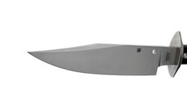 bowie fixed knife Spyderco Respect FB44GP