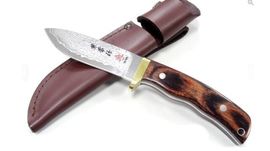 KB-551 - Kanetsune Subaru japanese fixed hunting knife